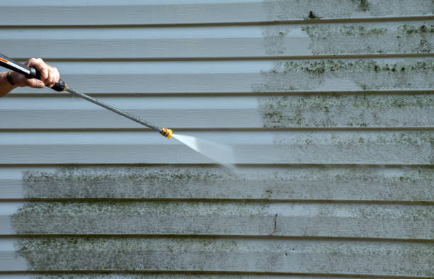 Best Residential Mold Removal  in San Leandro, CA