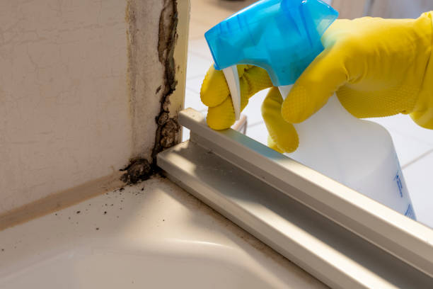 Best Mold Testing  in San Leandro, CA