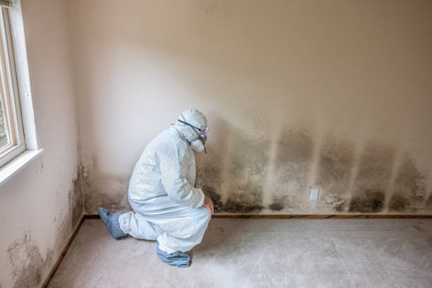Water Damage Restoration in San Leandro, CA